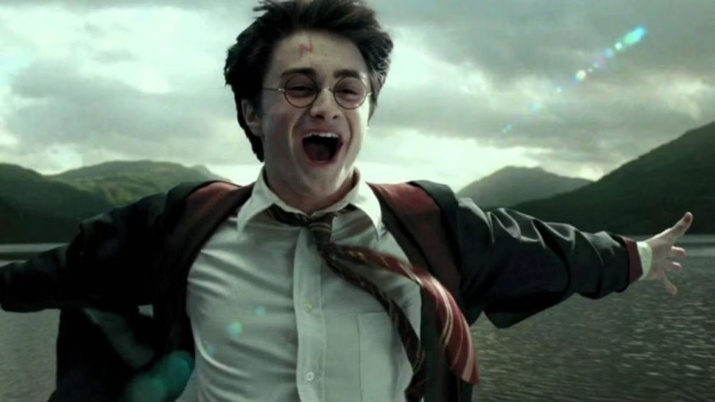 Harry Potter Movies Ranked From Worst to&nbsp;Best